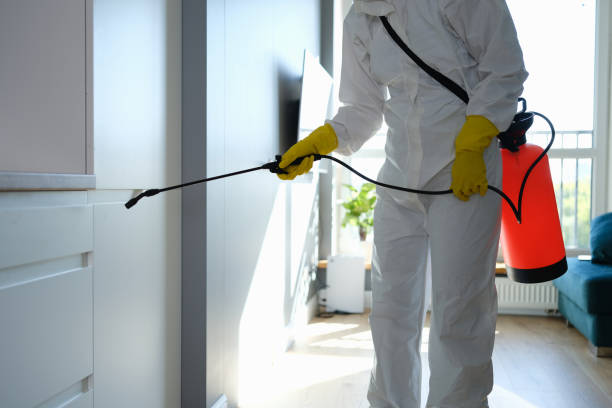 Best Residential Mold Removal  in Taylorvle, IL